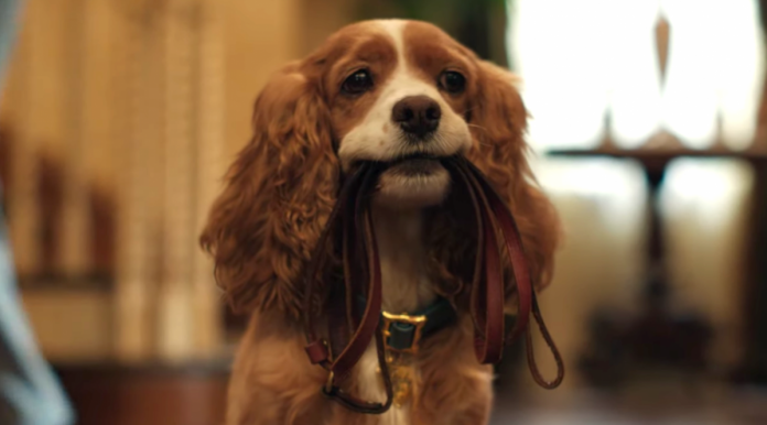 Lilli e il Vagabondo: il secondo trailer ufficiale del remake Disney Lilli e il Vagabondo: il secondo trailer ufficiale del remake Disney