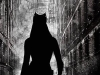 Il cavaliere oscuro - Il ritorno, I fan poster