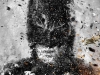 Il cavaliere oscuro - Il ritorno, I fan poster
