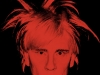 Andy Warhol in persona