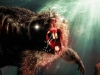 In Home Video: Zombeavers