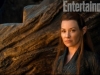 the-hobbit-desolation-of-smaug-evangeline-lilly1-600x337