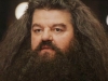 Qual è il patrono di Hagrid?