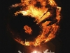 Man of Tai Chi