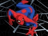 Spider-Man (animazione)