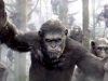 17. Apes Revolution - Il pianeta delle scimmie