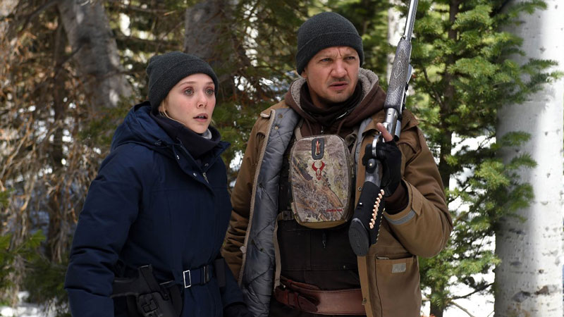 Cannes 70: Elizabeth Olsen e Jeremy Renner protagonisti del primo trailer di Wind River Il primo trailer di Wind River