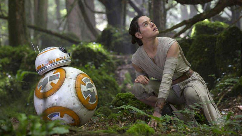 rey