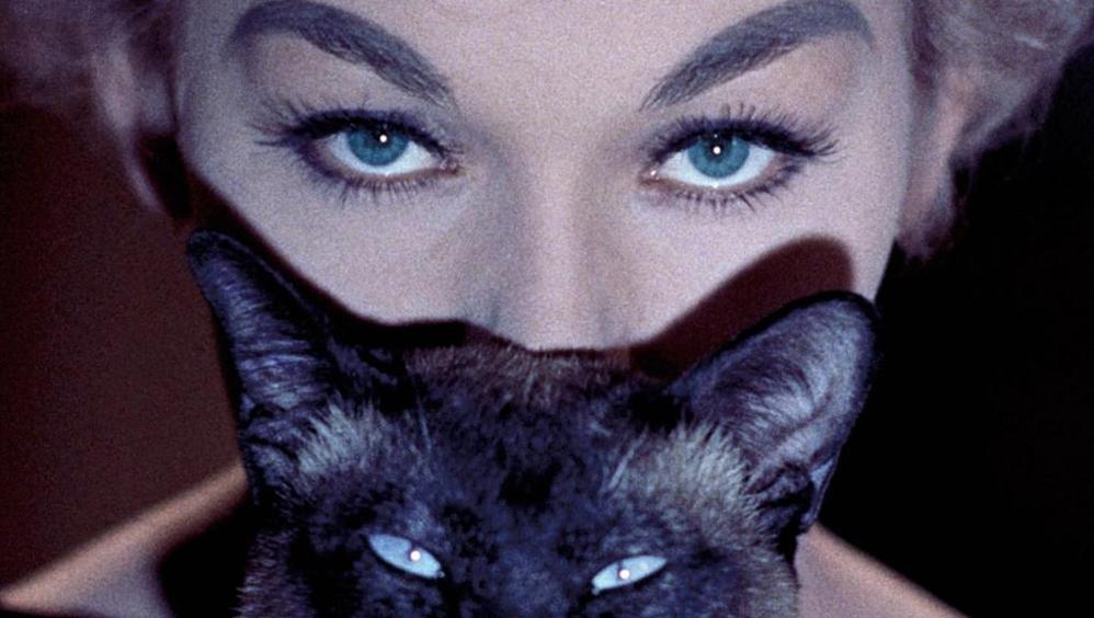 Torino Film Festival 2017: ecco tutti i vincitori della 35ᵃ edizione Torino Film Festival 2017