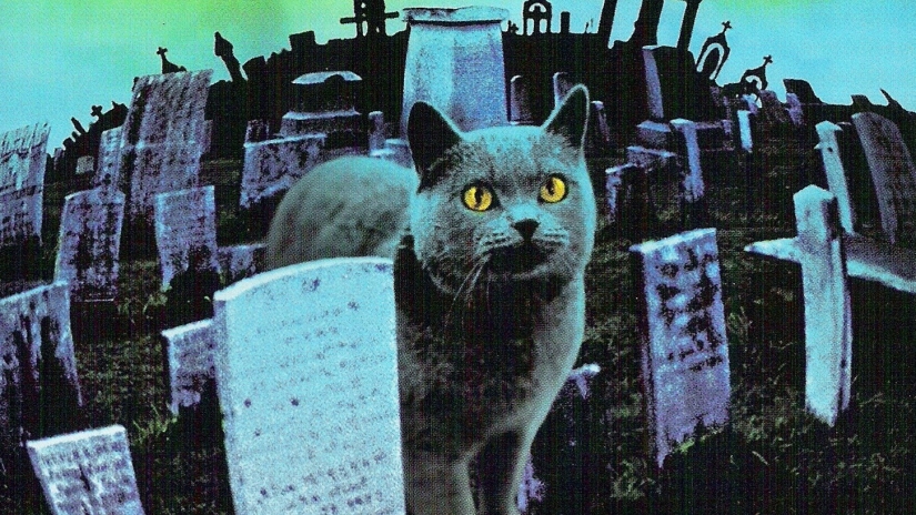 Cimitero Vivente: la Paramount rivela la data d’uscita del remake