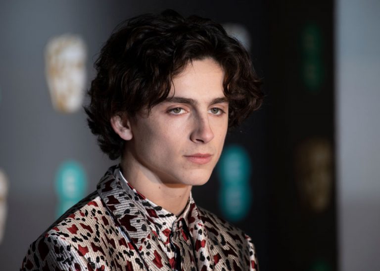 Timothée Chalamet film e vita privata dell'attore al