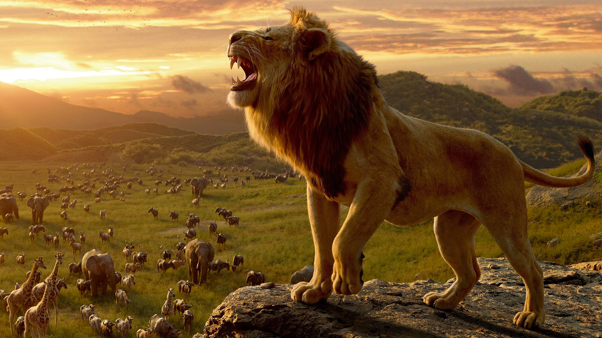 Il re leone la recensione del capolavoro Disney in live action