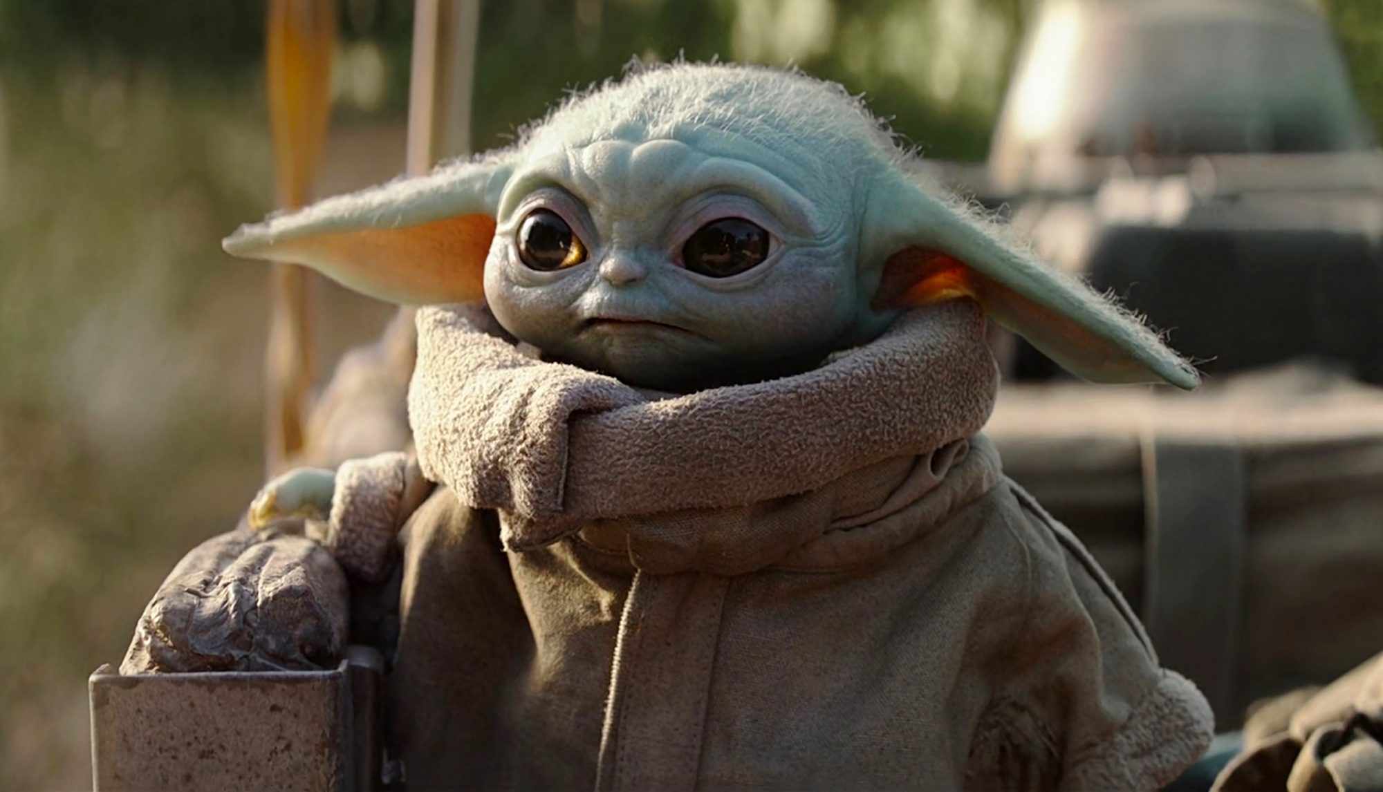 The Mandalorian_baby Yoda