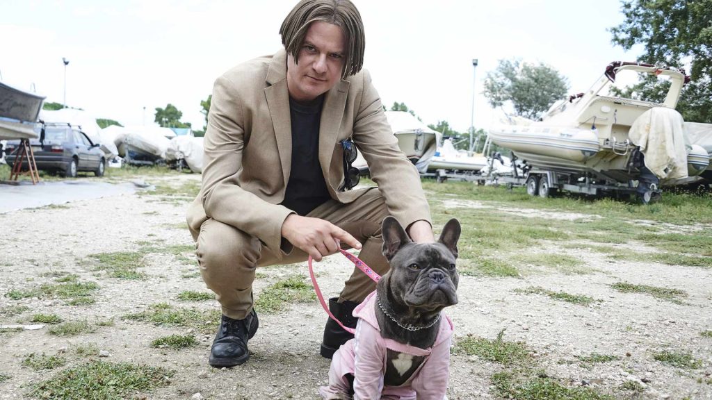il colpo del cane timvision