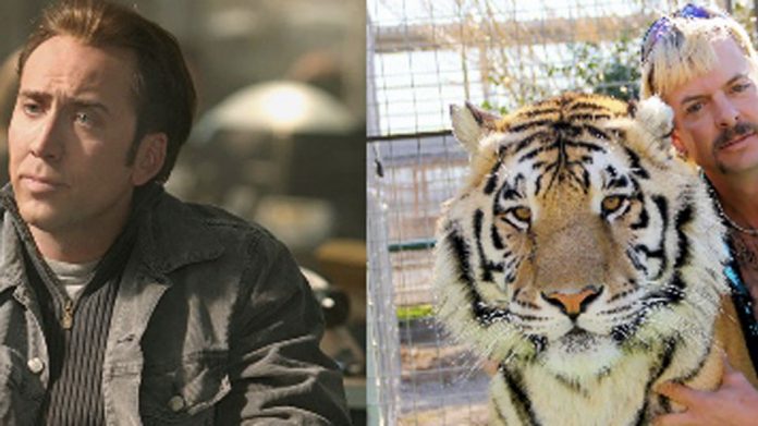 Nicolas Cage sarà Joe Exotic nella serie ispirata alla docuserie Netflix Tiger King Tiger King