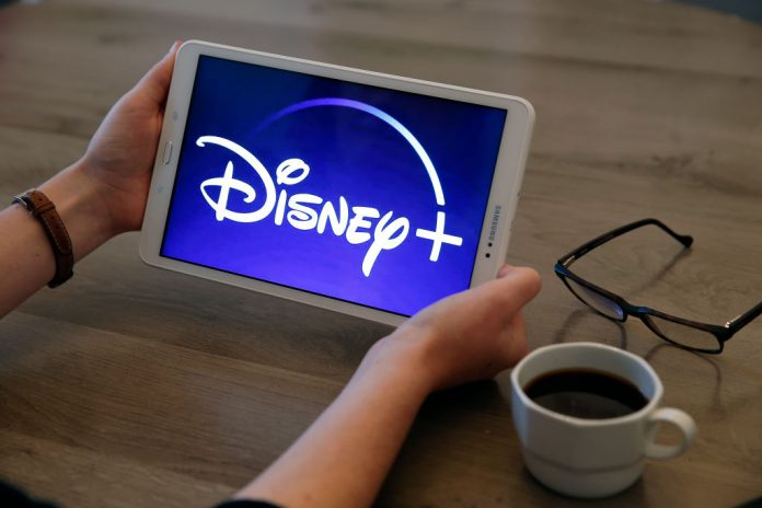 Flora e Ulisse: dal 19 febbraio su Disney+ Flora e Ulisse film