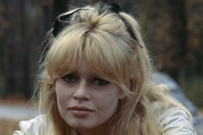 Brigitte Bardot shock: «Il Covid è una cosa buona». E spiega perché Brigitte Bardot