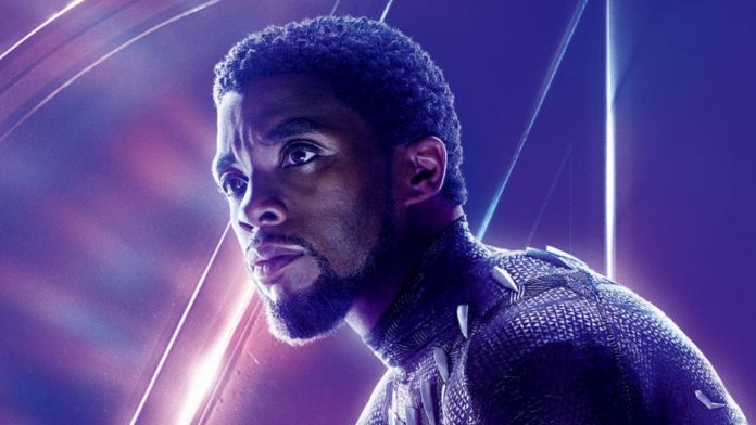 The Falcon and the Winter Soldier: Chadwick Boseman ha un cameo? Arriva la risposta falcon and the winter soldier cameo chadwick boseman