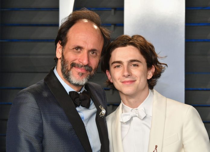 Bones and All: il nuovo film di Luca Guadagnino con Timothée Chalamet Bones and All trama
