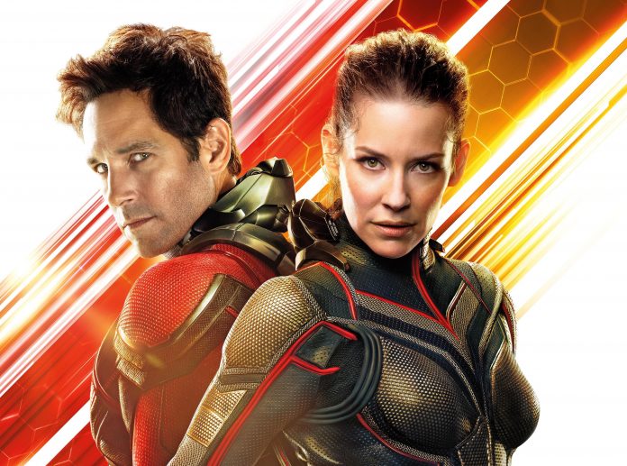 Ant-Man 3, Evangeline Lilly si allena in costume: ecco le foto dalla spiaggia Ant-Man 3