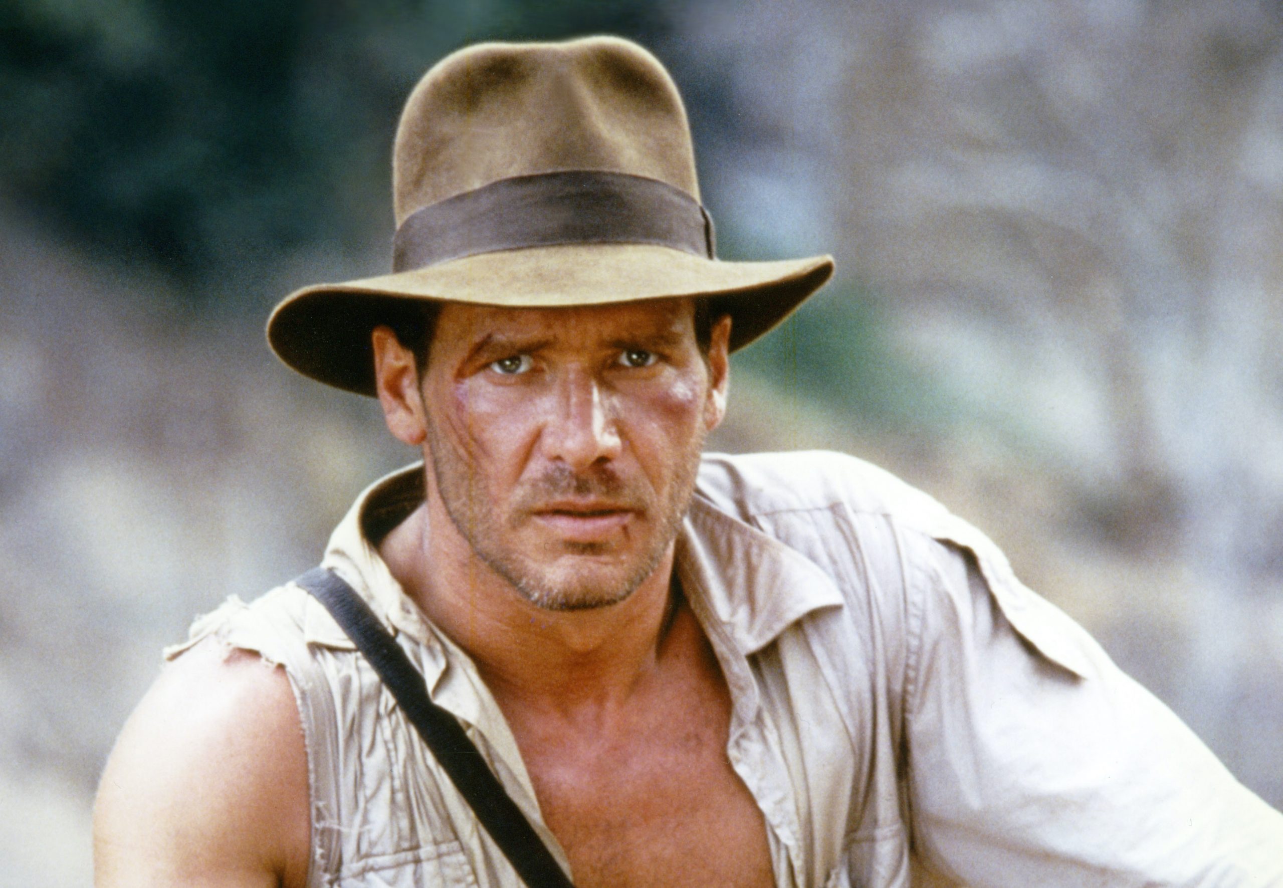 Harrison Ford ha compiuto un'impresa quasi degna di Indiana Jones: ecco  quale