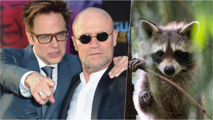 James Gunn, alcuni procioni distruggono casa di una donna: interviene il regista! james gunn procione twitter