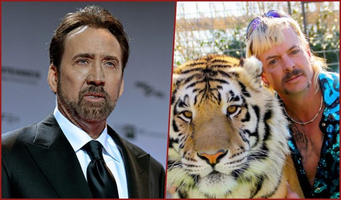 Tiger King, la rivelazione shock di Nicolas Cage sulla serie dedicata a Joe Exotic cage tiger king