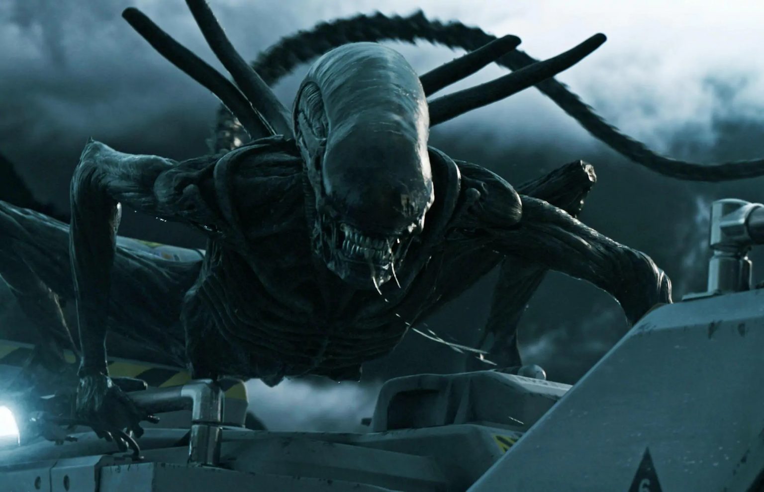 Alien, il nuovo film della saga è ufficiale svelati i primi dettagli e