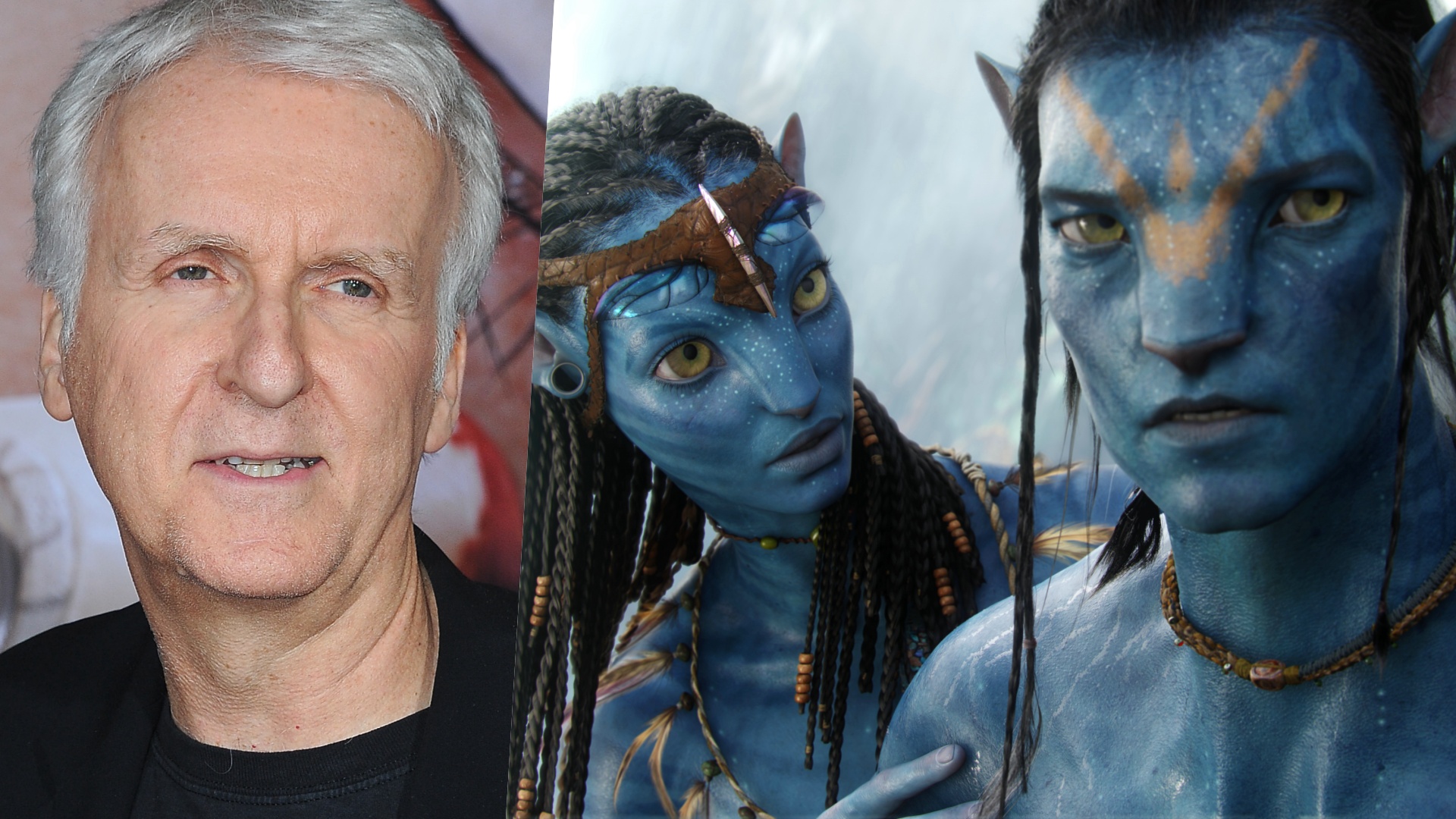 Avatar 4 e 5 James Cameron potrebbe non essere il regista