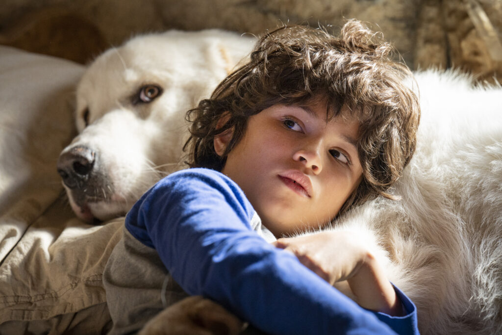 Belle e Sebastien – Next Generation
