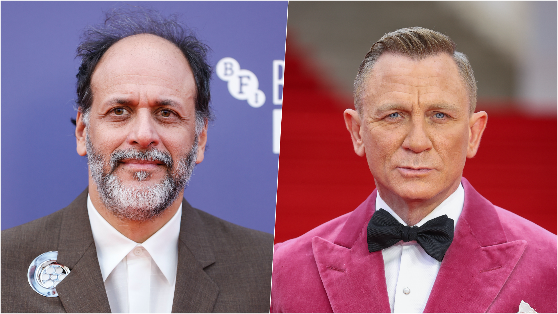 Luca Guadagnino Daniel Craig