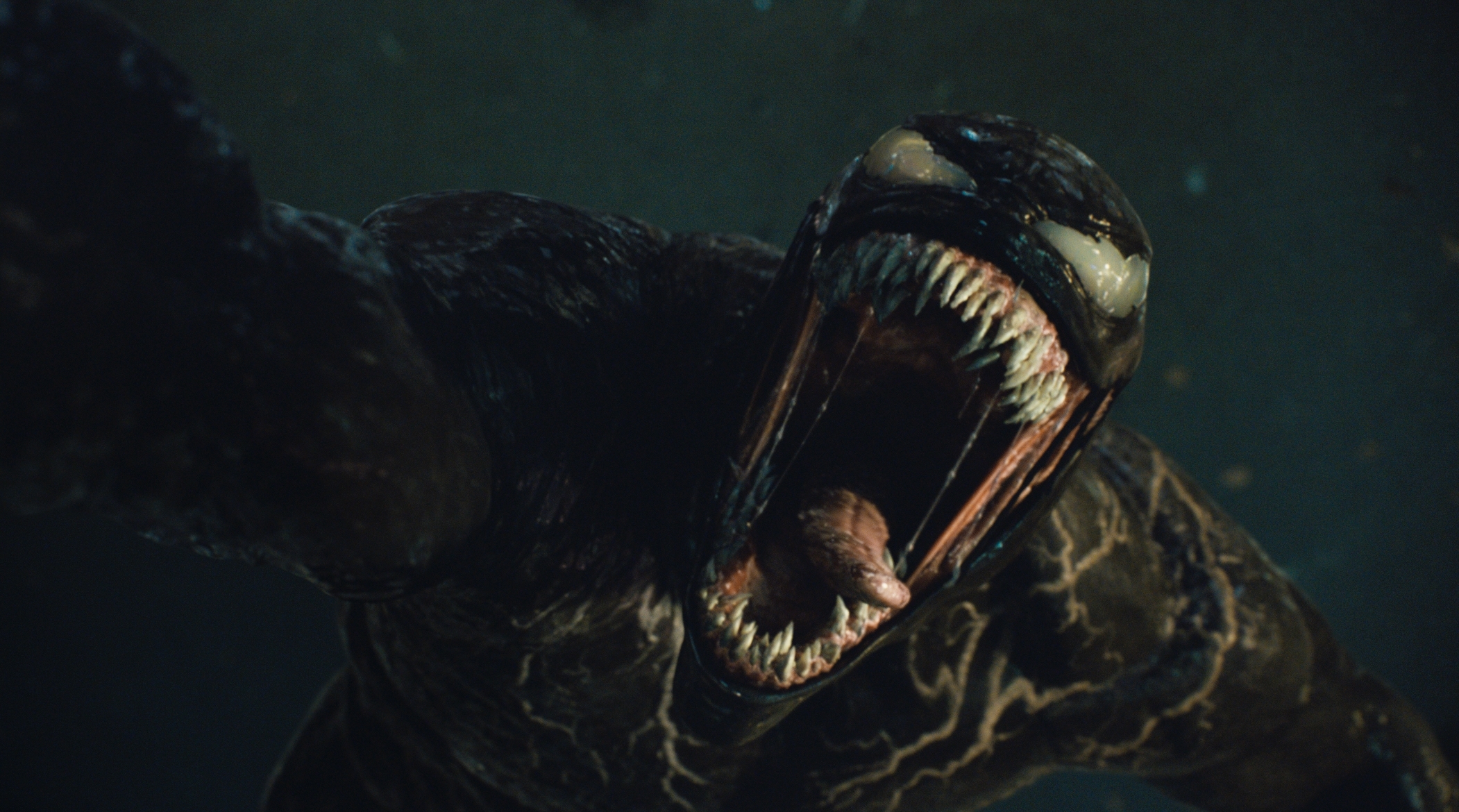 Venom 3: Annunciata Una Nuova Importante New Entry Nel Cast Del Terzo ...