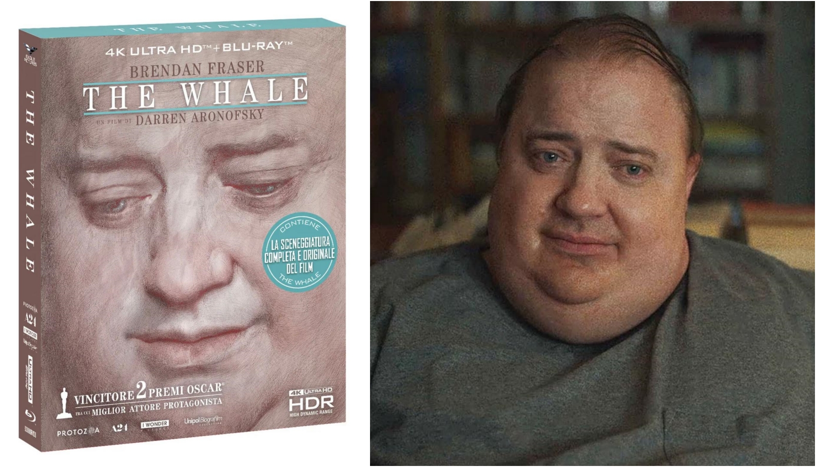 La Videoteca Perfetta: The Whale (Blu-ray 4K + Blu-ray, Blu-ray, DVD)