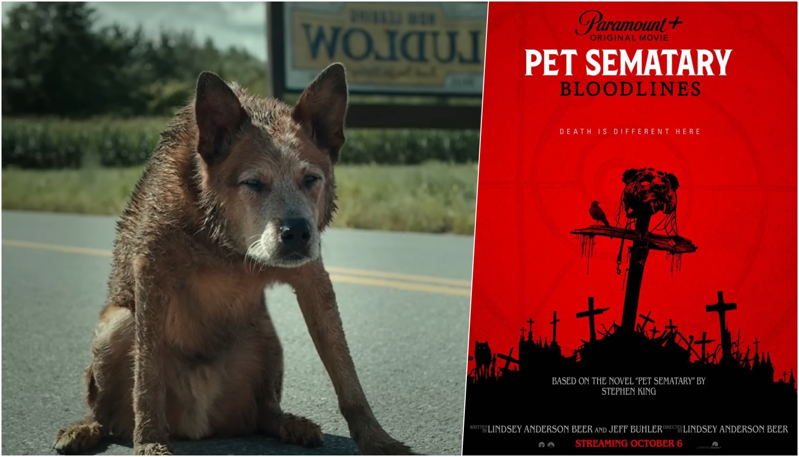 pet sematary: bloodlines