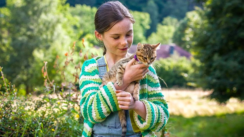 Vita da gatto home