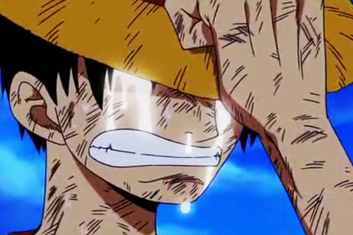 one piece va in pausa