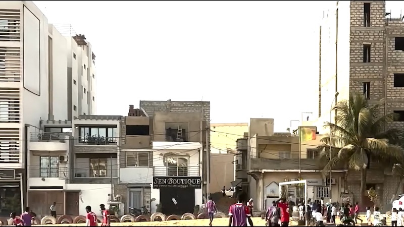 L’Ulivo e il Baobab home