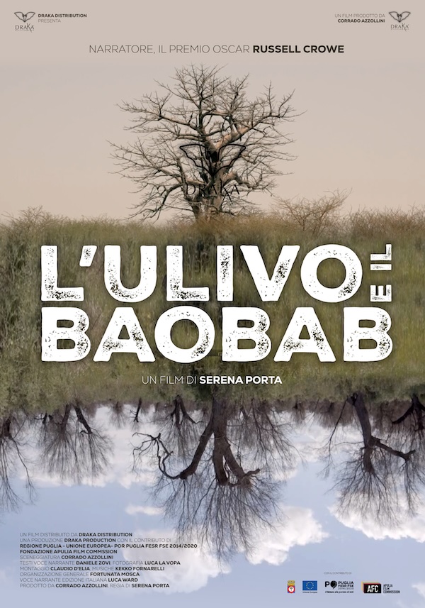 L’Ulivo e il Baobab L’Ulivo e il Baobab