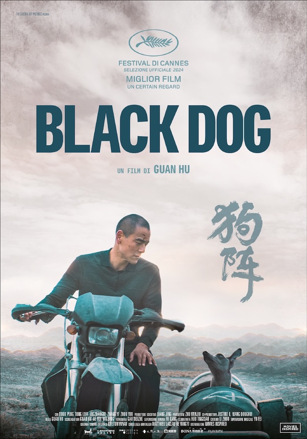 Black Dog Black Dog
