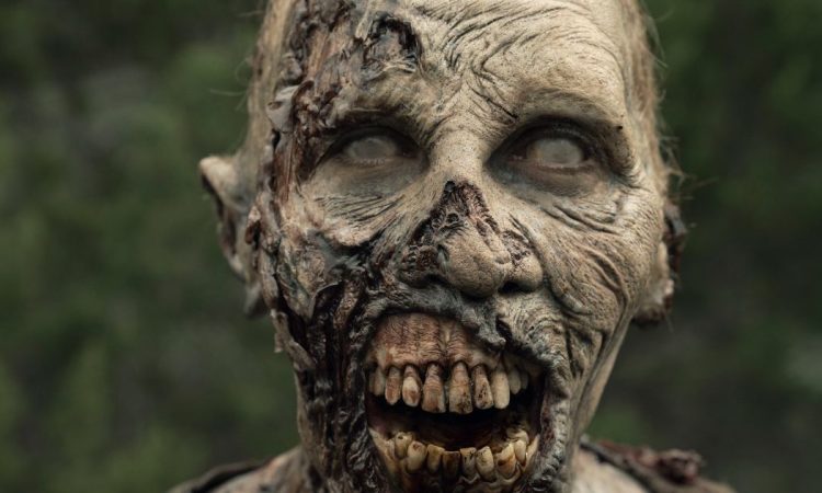 Uno zombie di The Walking Dead
