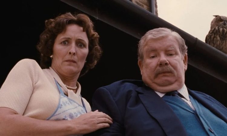 zii Dursley Harry Potter