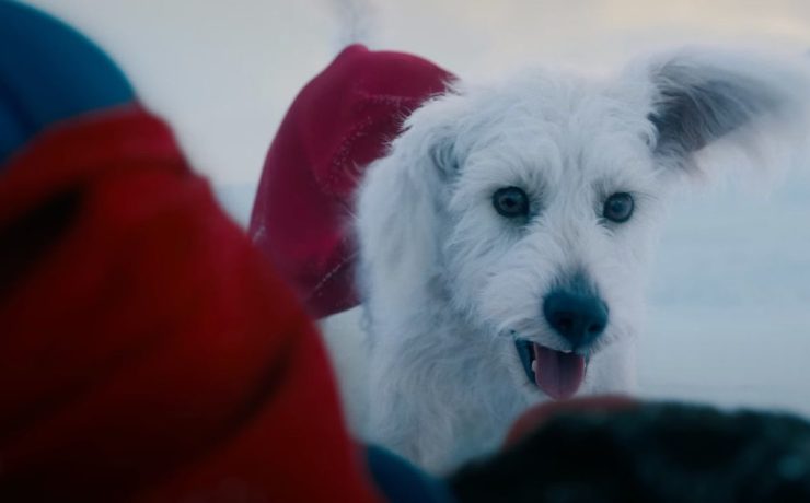 Il cane Krypto nel film di Superman (2025)