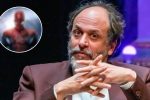 luca guadagnino dirigerà una star di spider-man