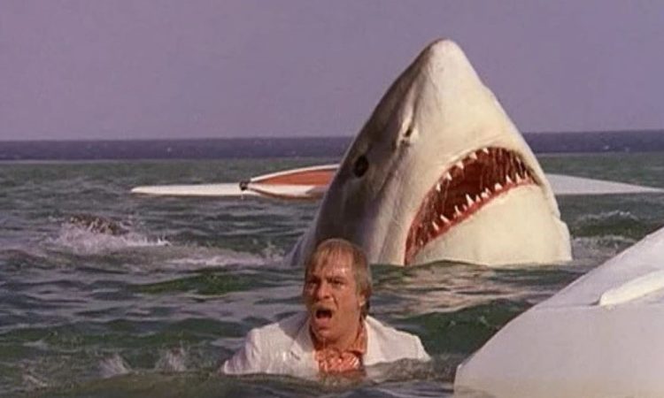 un frame del film L'ultimo squalo