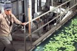 film sul futuro soylent green