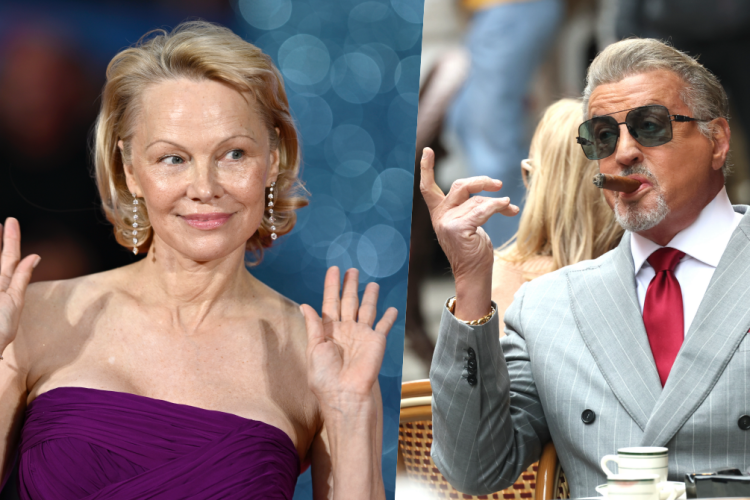 pamela anderson stallone