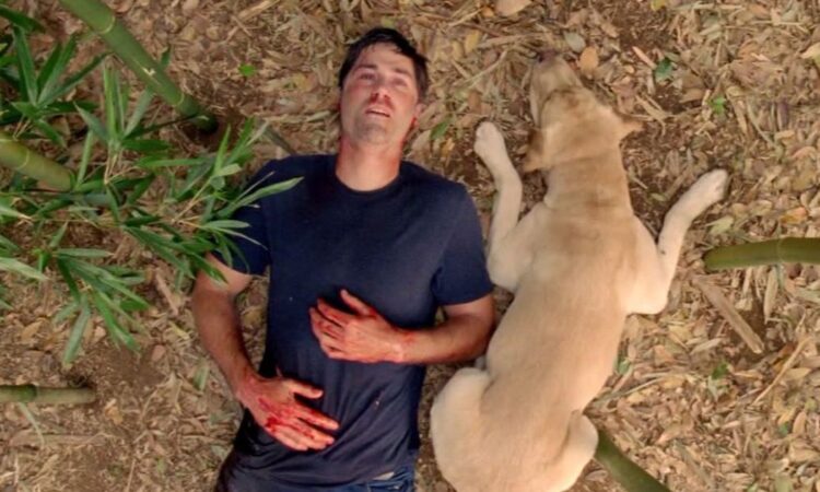 lost-finale-serie