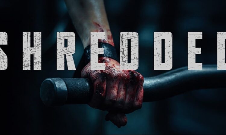 prima imamgine dell'horror Shredded